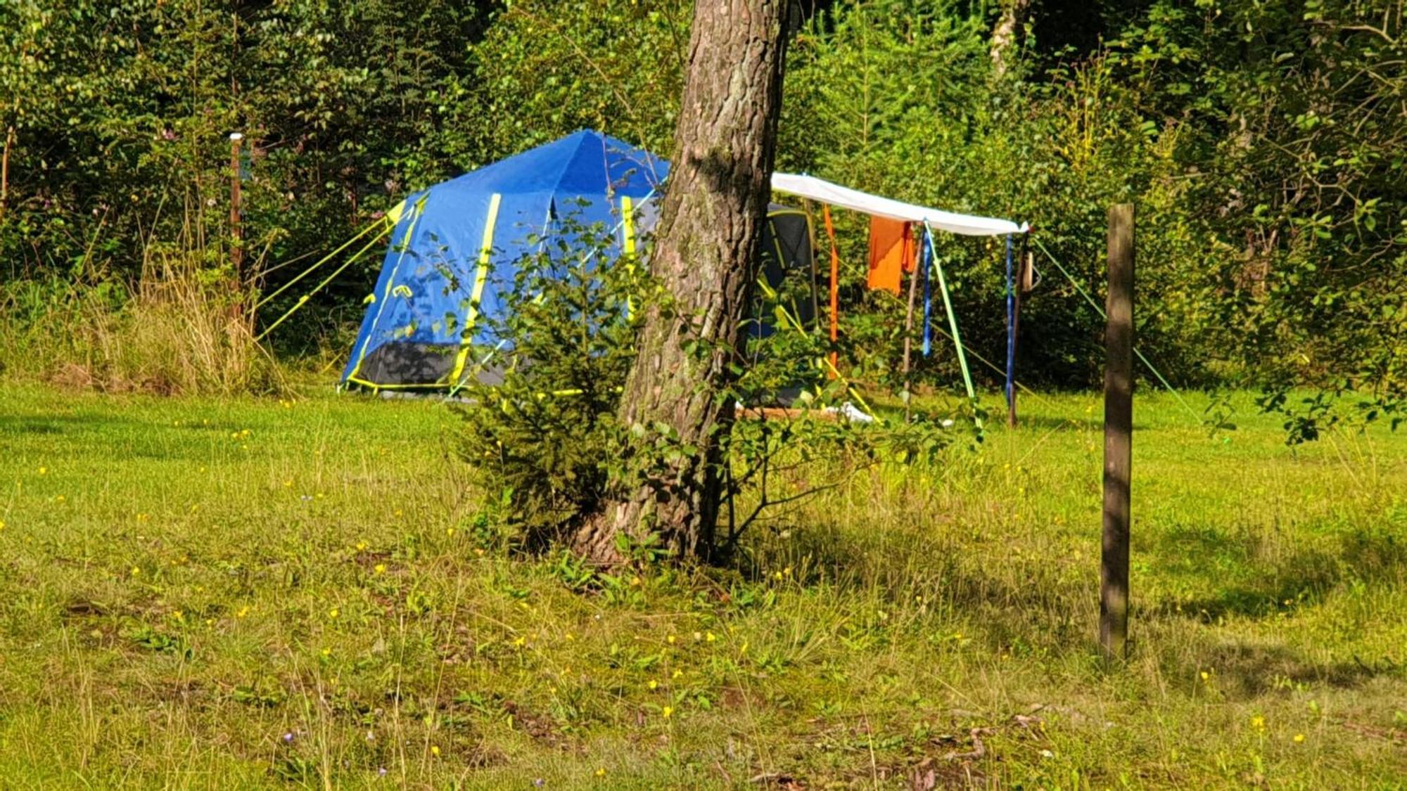Harzklub Wanderheim Lejlighed Wildemann Eksteriør billede